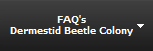 FAQ's
Dermestid Beetle Colony