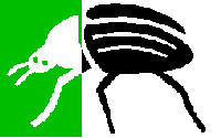 bones-and-bugs-logo